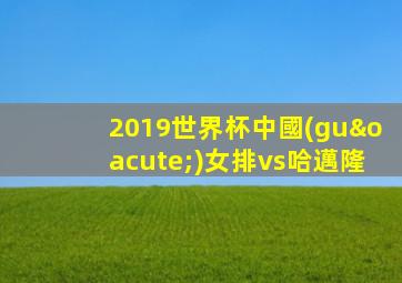 2019世界杯中國(guó)女排vs哈邁隆